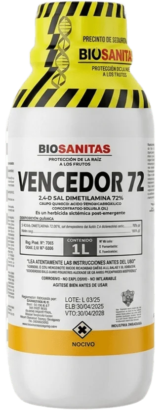 Vencedor 72