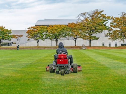 Lawn Trimming in Lethbridge