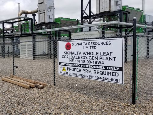 Coaldale Landscaping