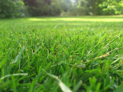 Coalhurst Weed Spraying