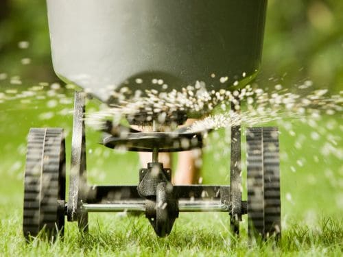 Lethbridge Weed Spraying