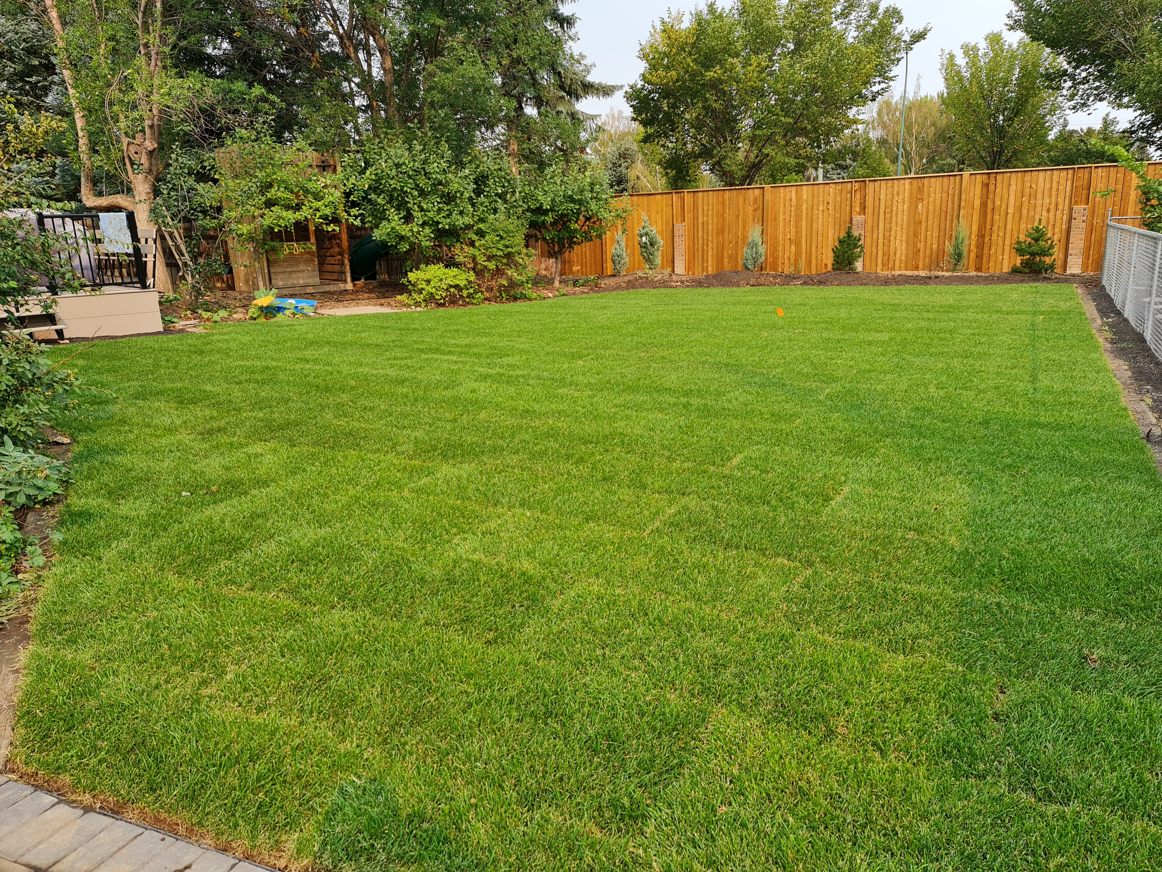 Lethbridge Weed Spraying