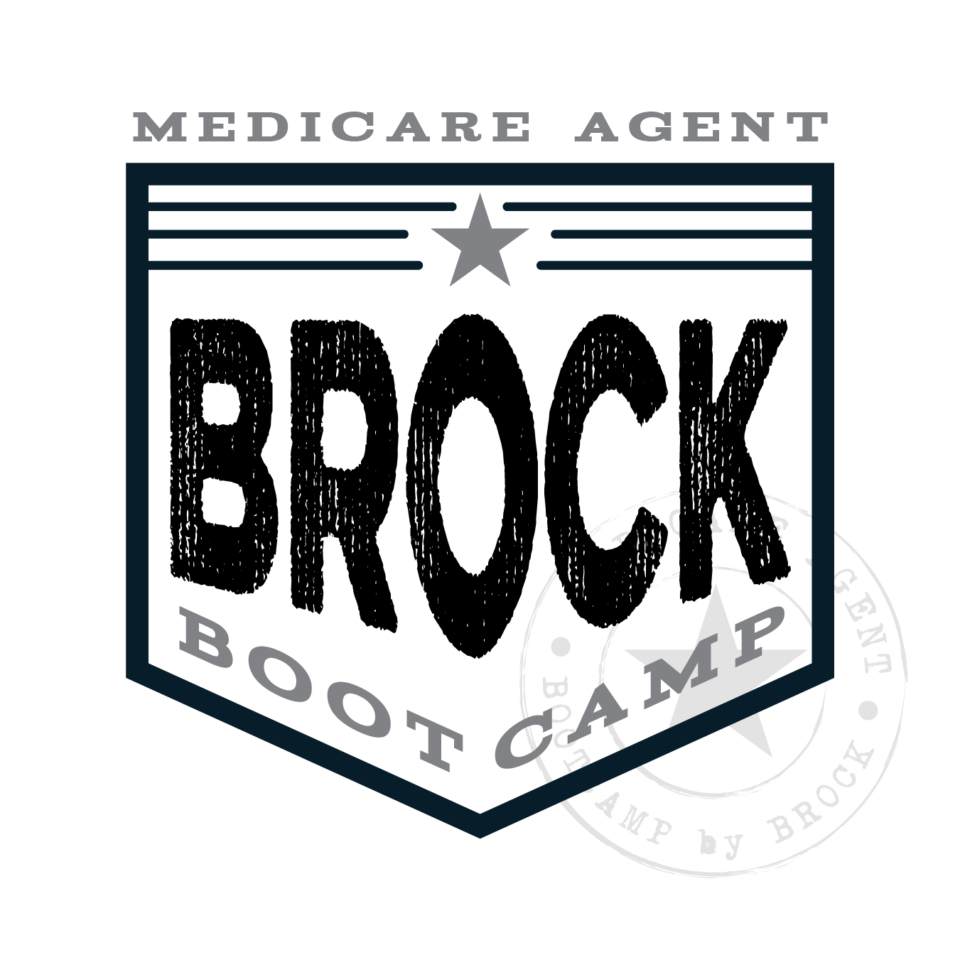 Medicare Agent Bootcamp by BBI