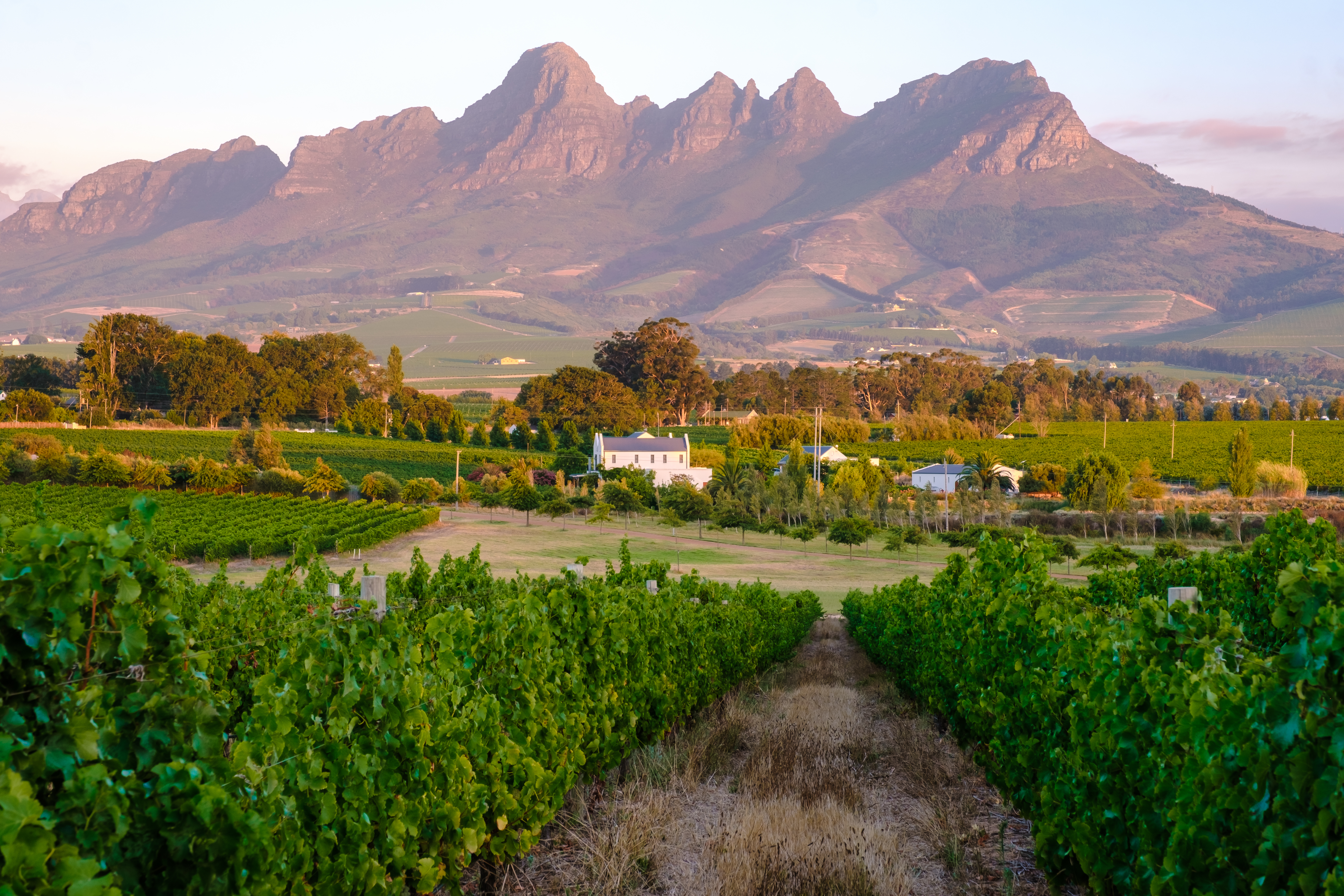 Winelands