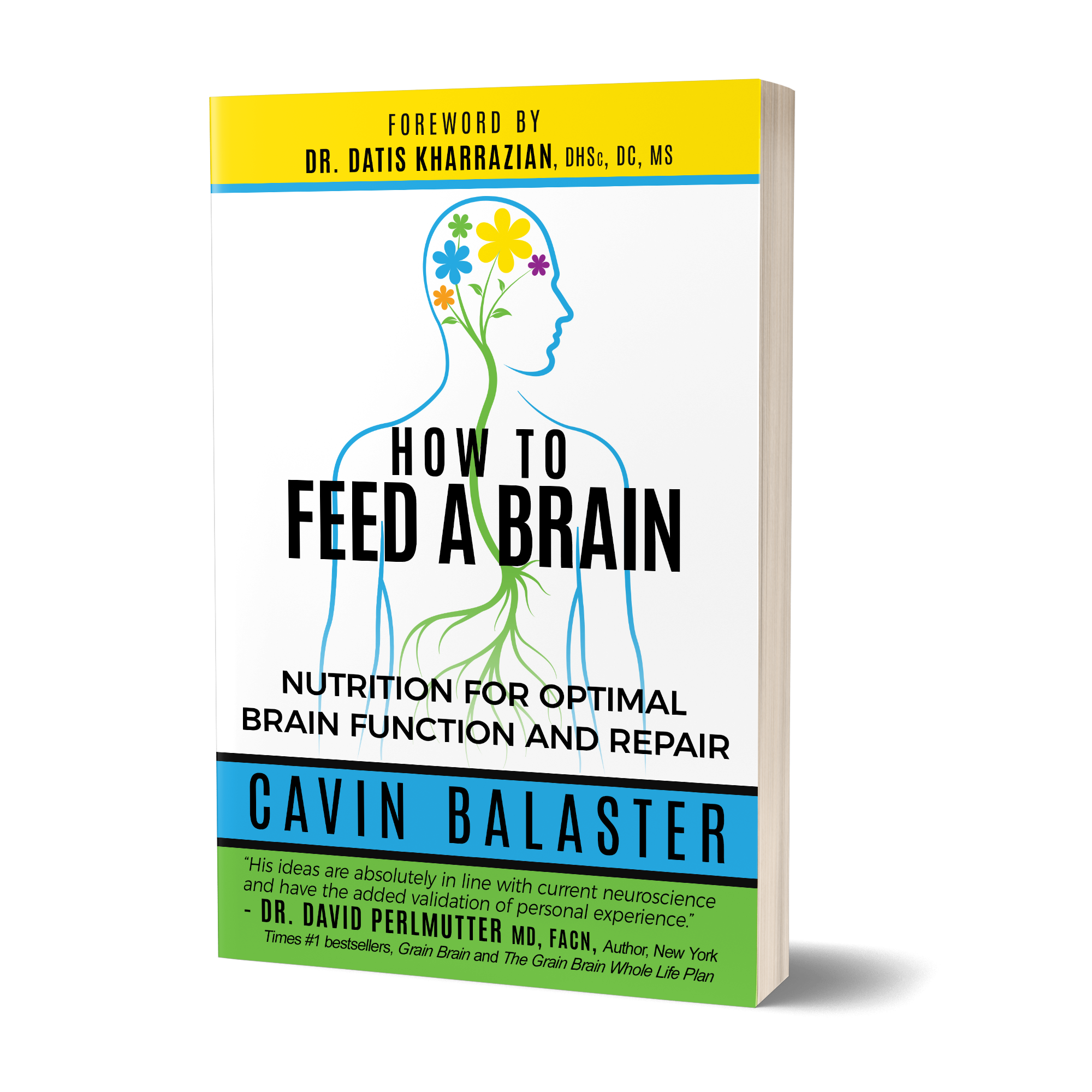 How to Feed a Brain – Nutrition for Optimal Brain Function and Repair, by Cavin Balaster