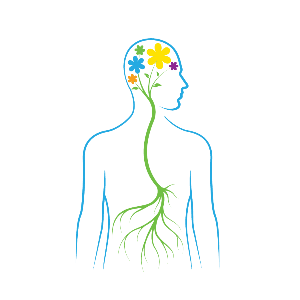 The gut-brain connection — the enteric nervous system in the gut communicates bidirectionally with the brain, making digestive health foundational to cognition