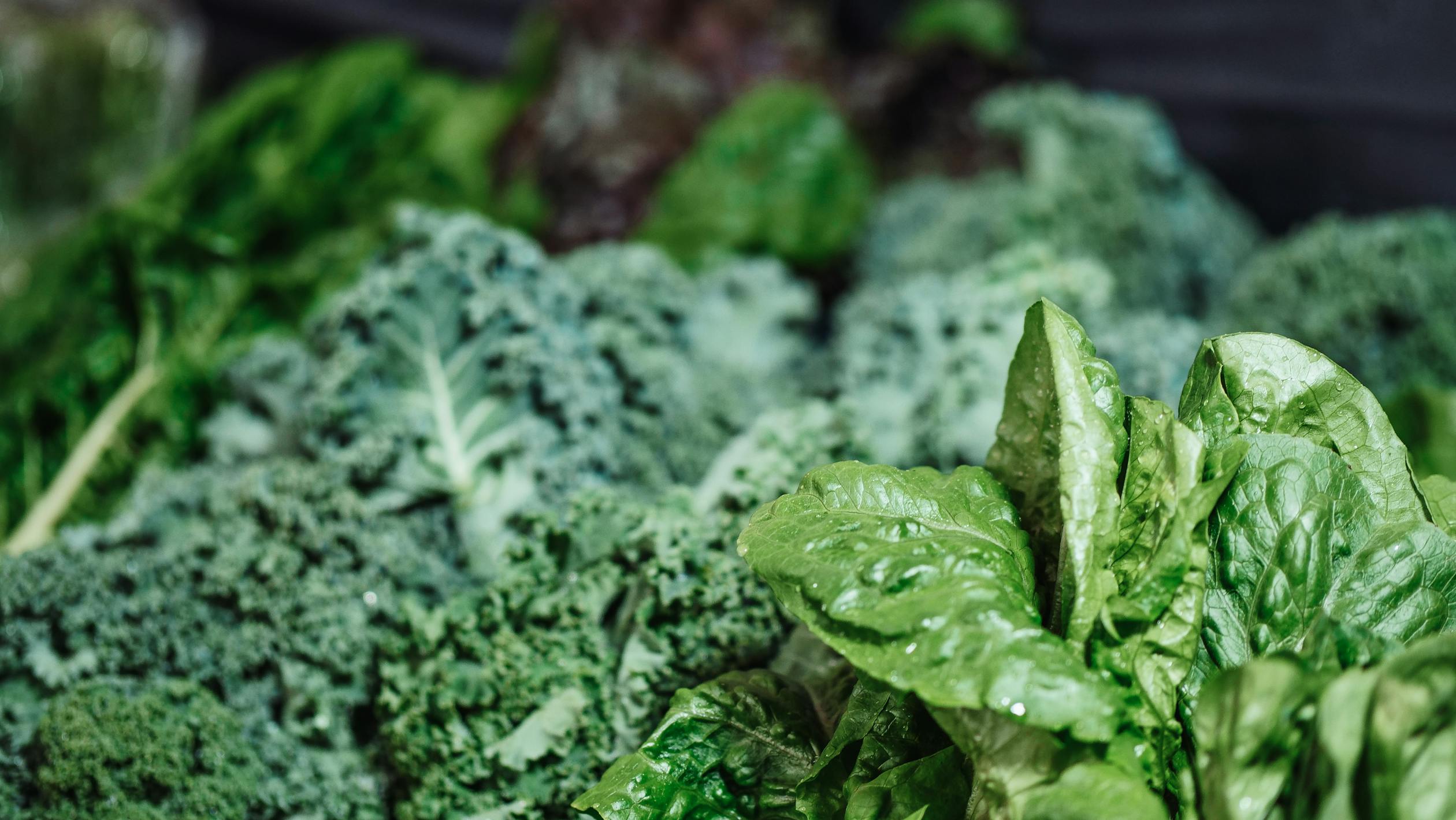 Fresh leafy greens including kale and spinach — the foundation of brain-supporting nutrition in the Feed a Brain Food Pyramid