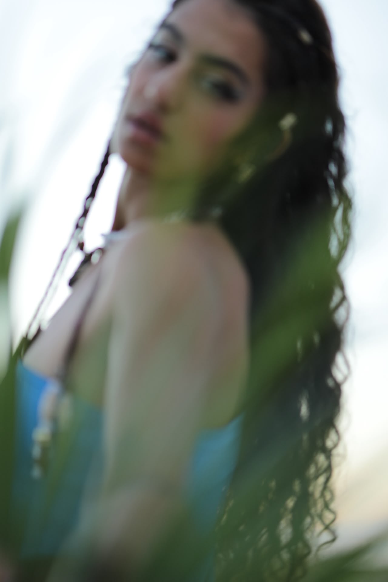 Glimpsed through palm leaves at dusk