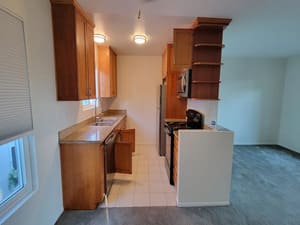 {{ custom_values.service_2 }} in {{custom_values.area_7})