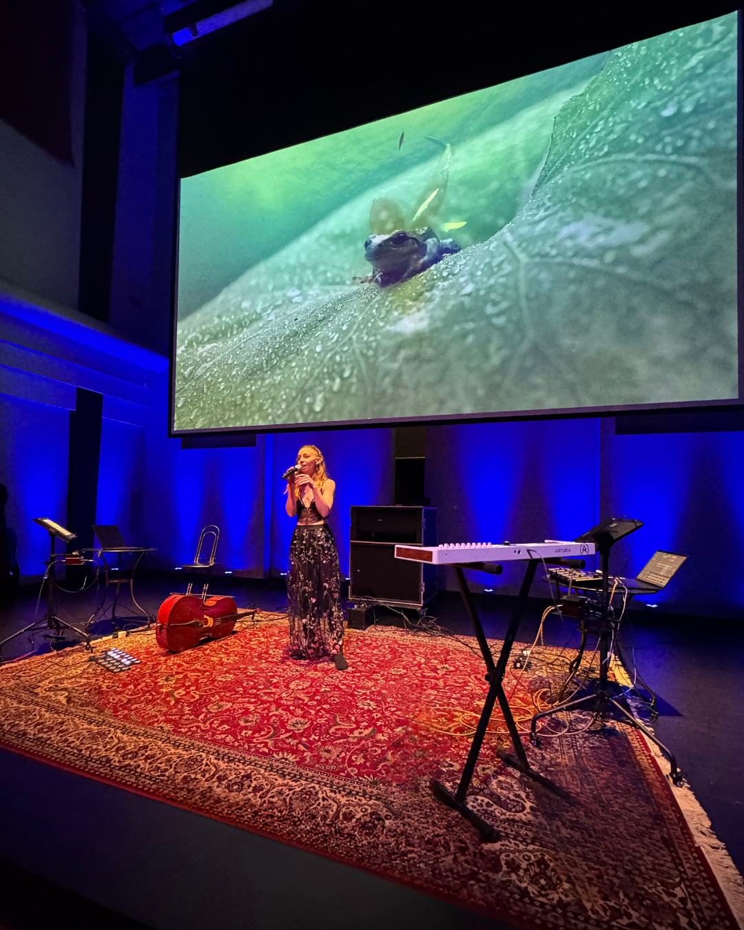 Særa Fiøra performing beneath projected frog imagery