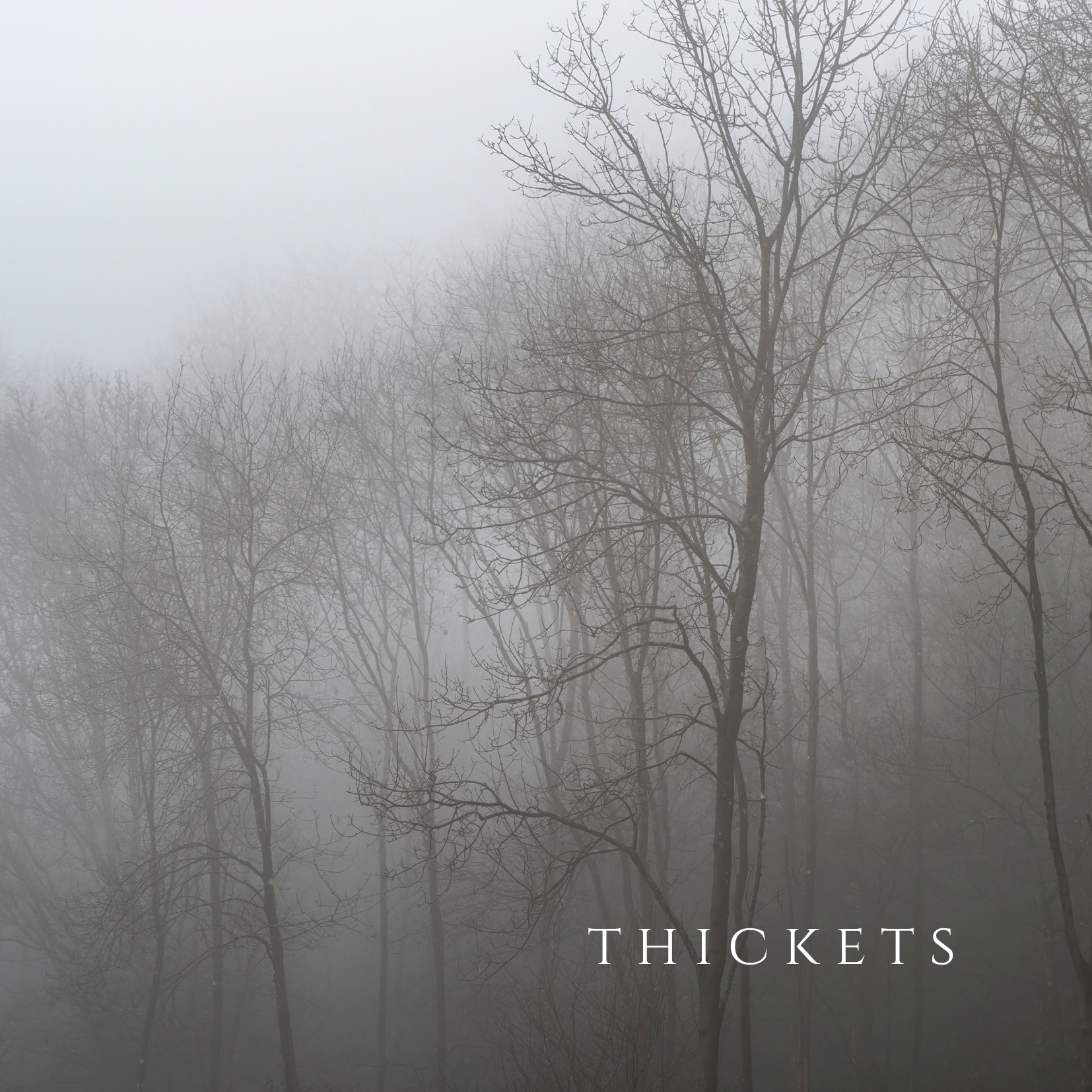 Thickets