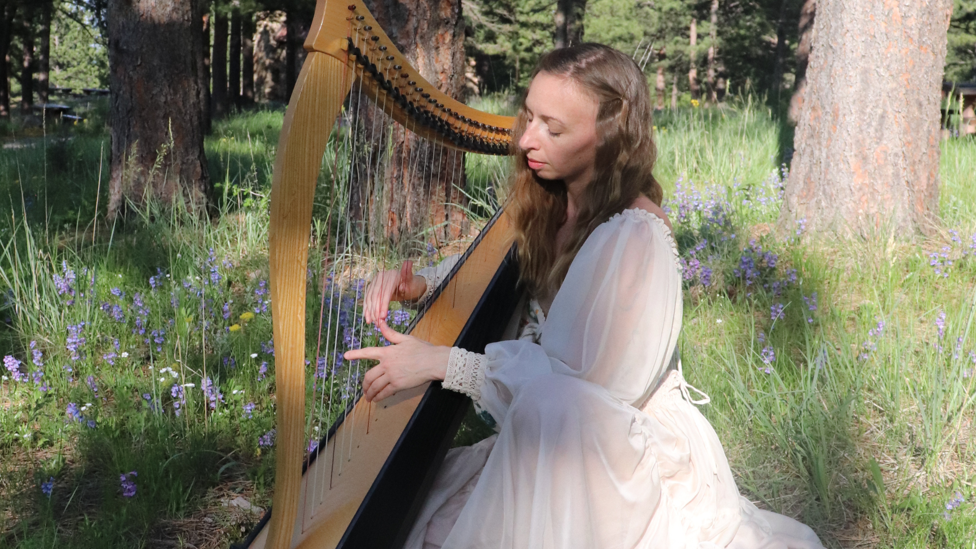 SongWilding with harp