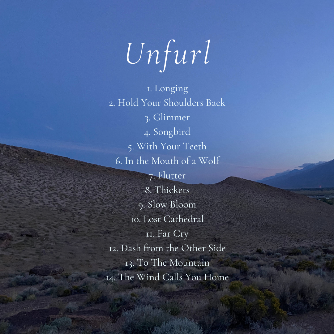 UNFURL album back cover