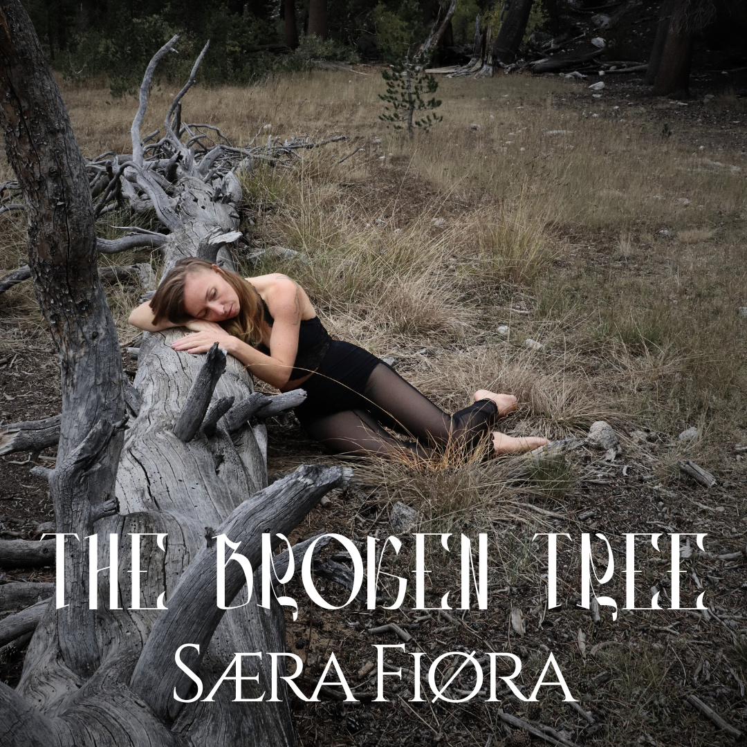 The Broken Tree cover art