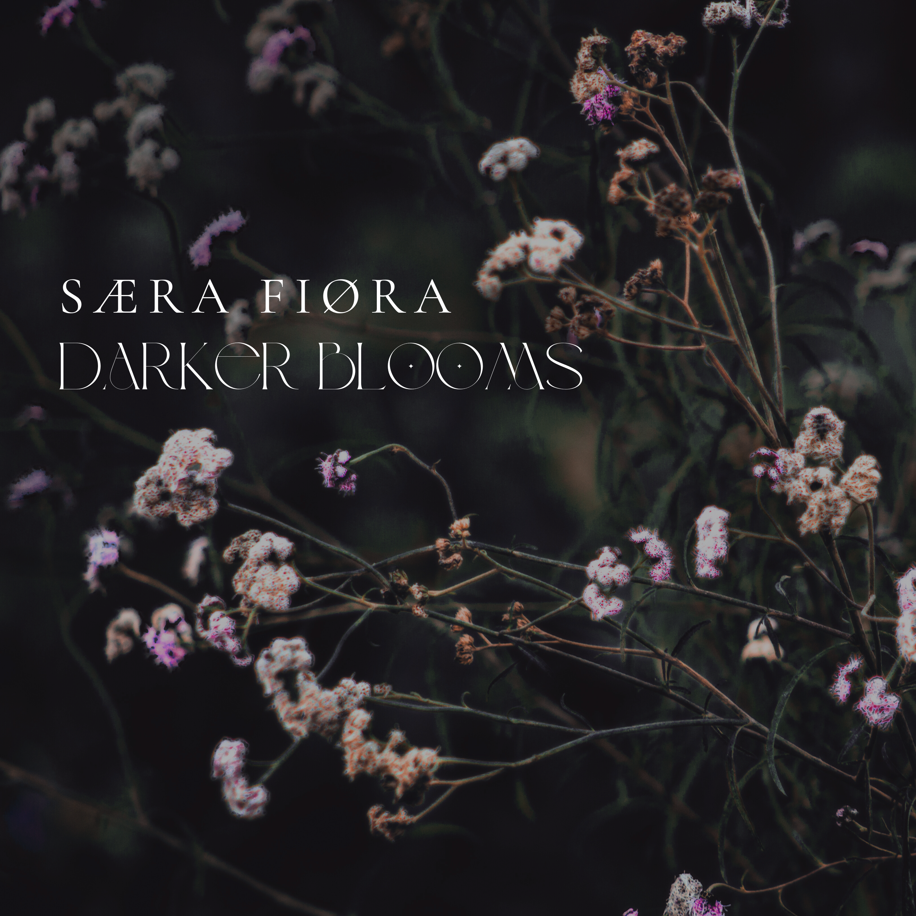 Darker Blooms cover art