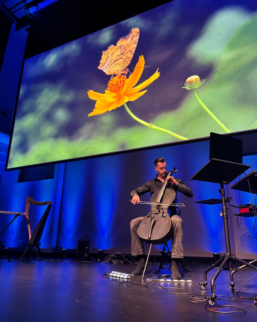 Shaun performing cello beneath butterfly imagery