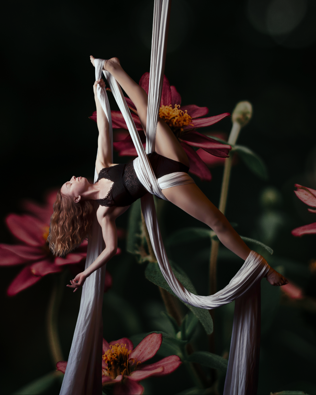 Violet Wing visual concept