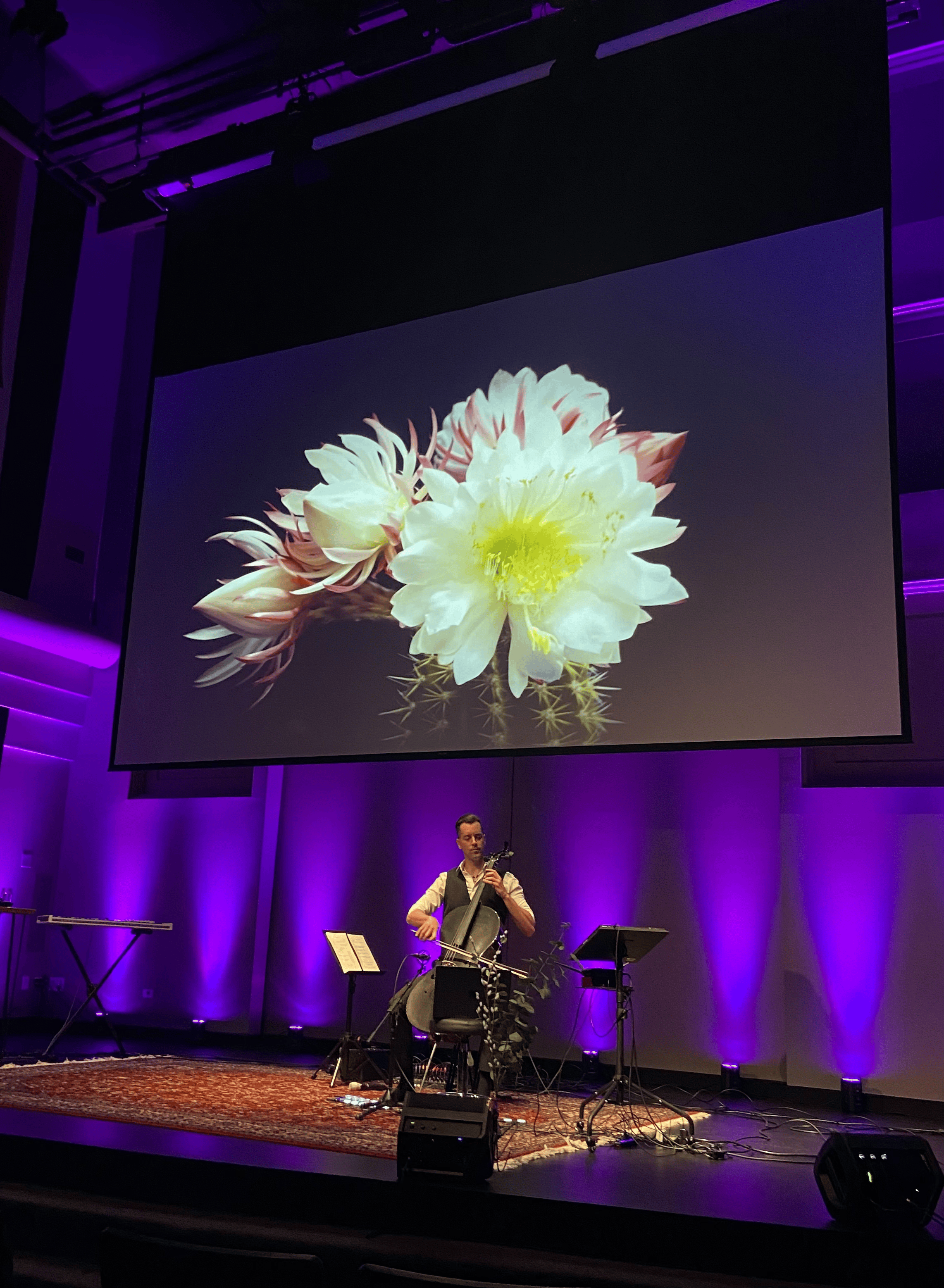 Shaun performing cello beneath projected botanical imagery