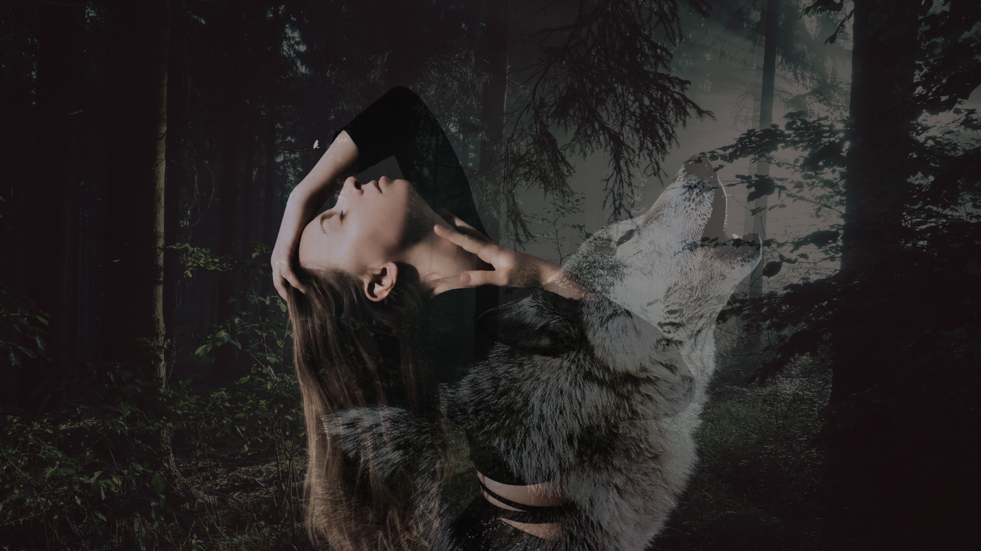 SongWilding by Særa Fiøra