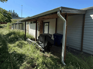 {{ custom_values.service_1 }} in {{custom_values.area_5})