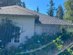 {{ custom_values.service_3 }} in {{custom_values.area_5})