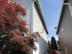 {{ custom_values.service_2 }} in {{custom_values.area_4})