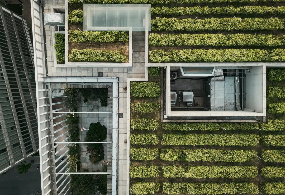 Planted roofs of a residential building from above
