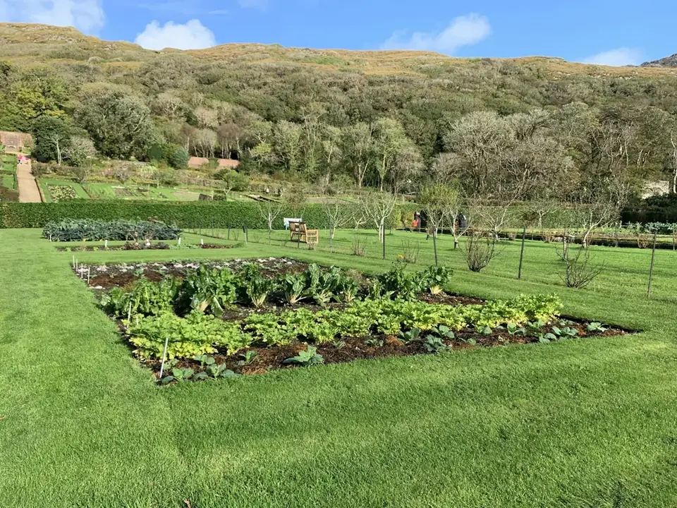Vegetable garden in front of wooded hills