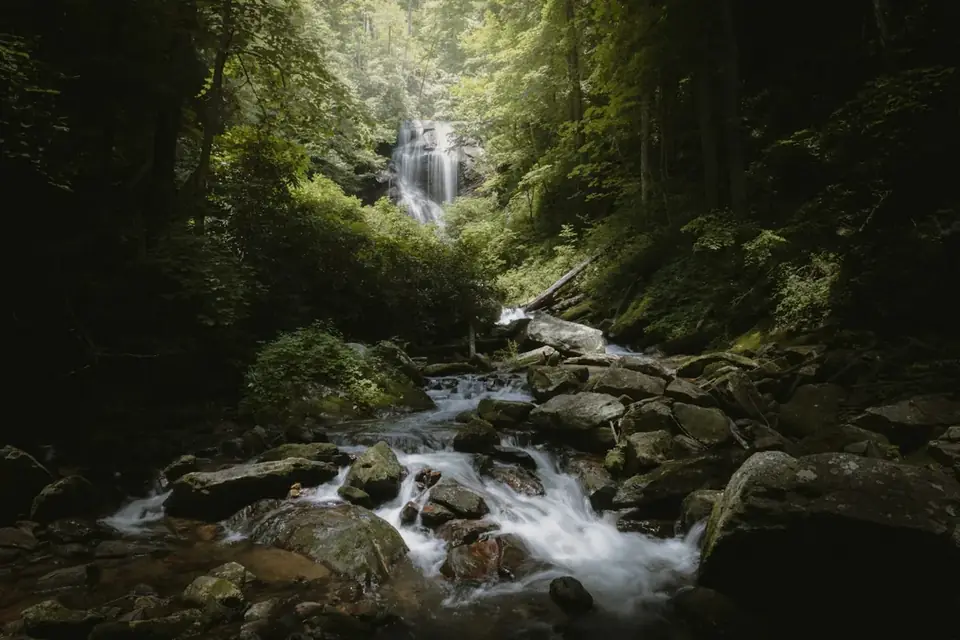 Stream with a small waterfall in the forest