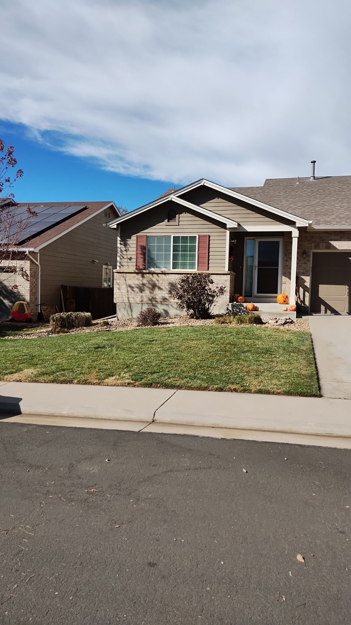 Yard after cleanup