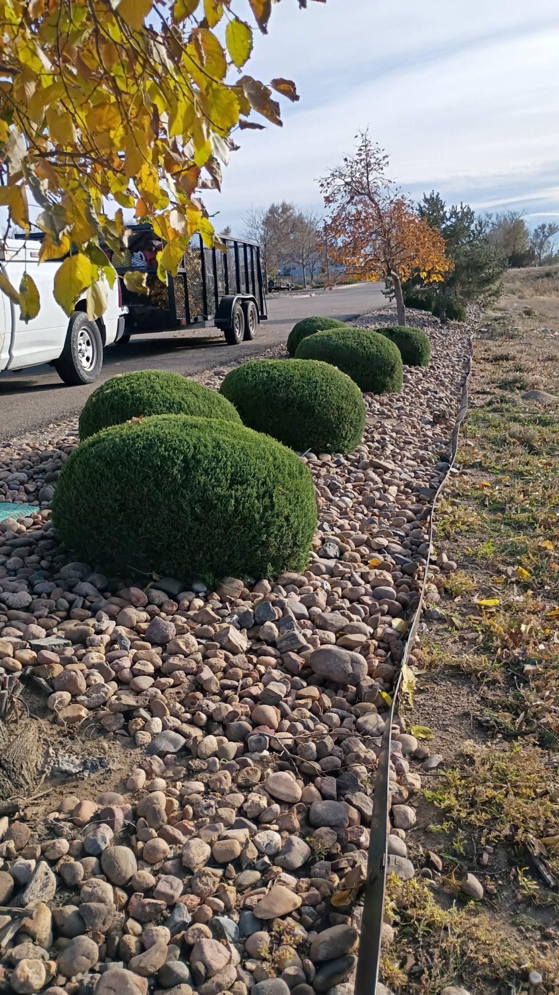 Trimmed hedges along a property