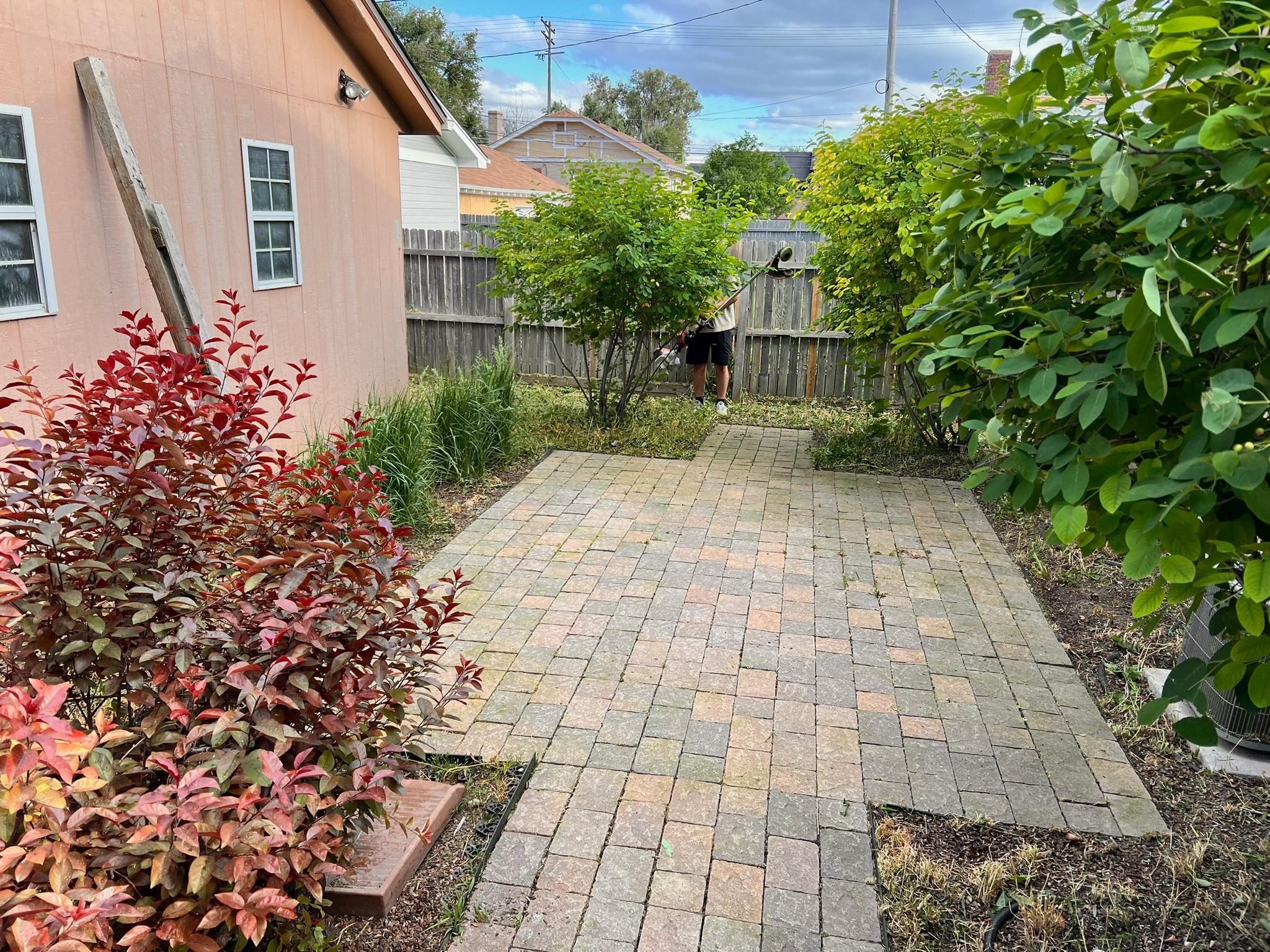 Backyard after renovation