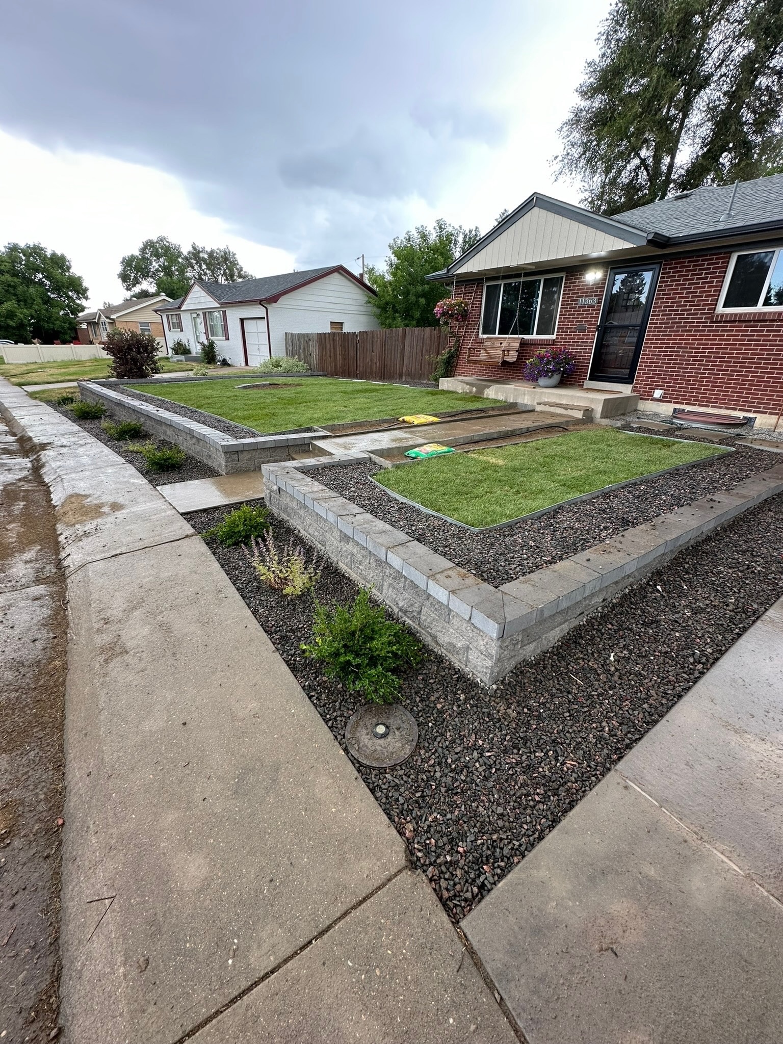 Front lawn after maintenance service