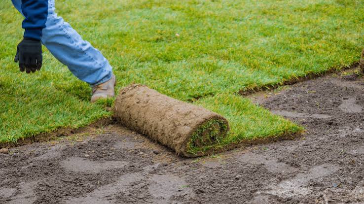 Sod installation