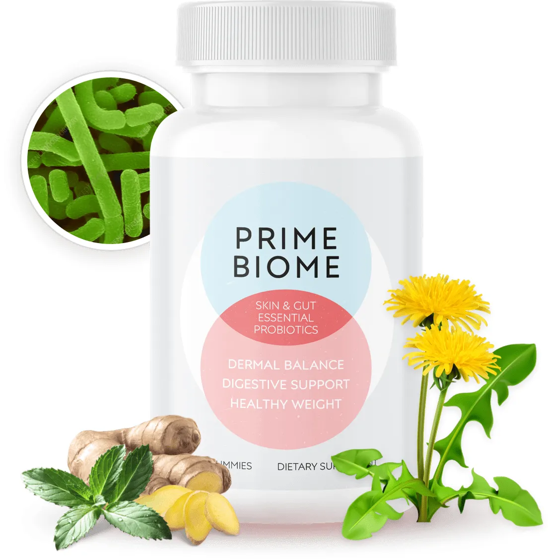 PrimeBiome