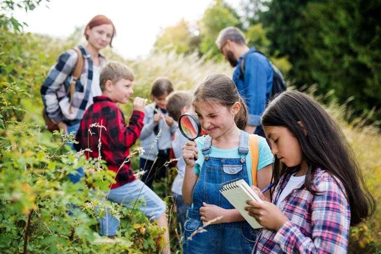 Kinderen met een vergrootglas ontdekken de natuur