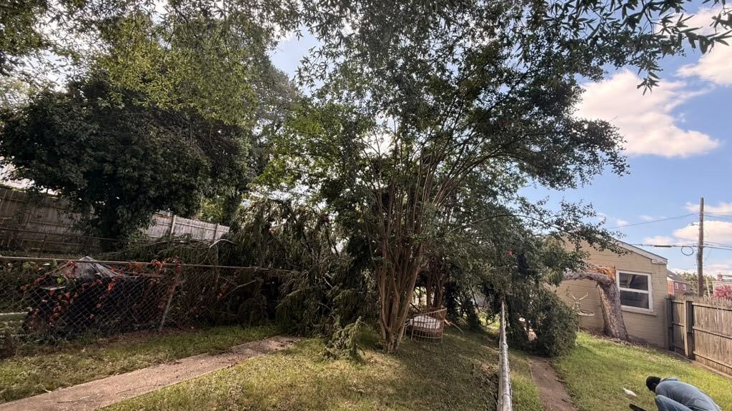 Crown Pruning