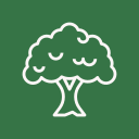 Tree Icon