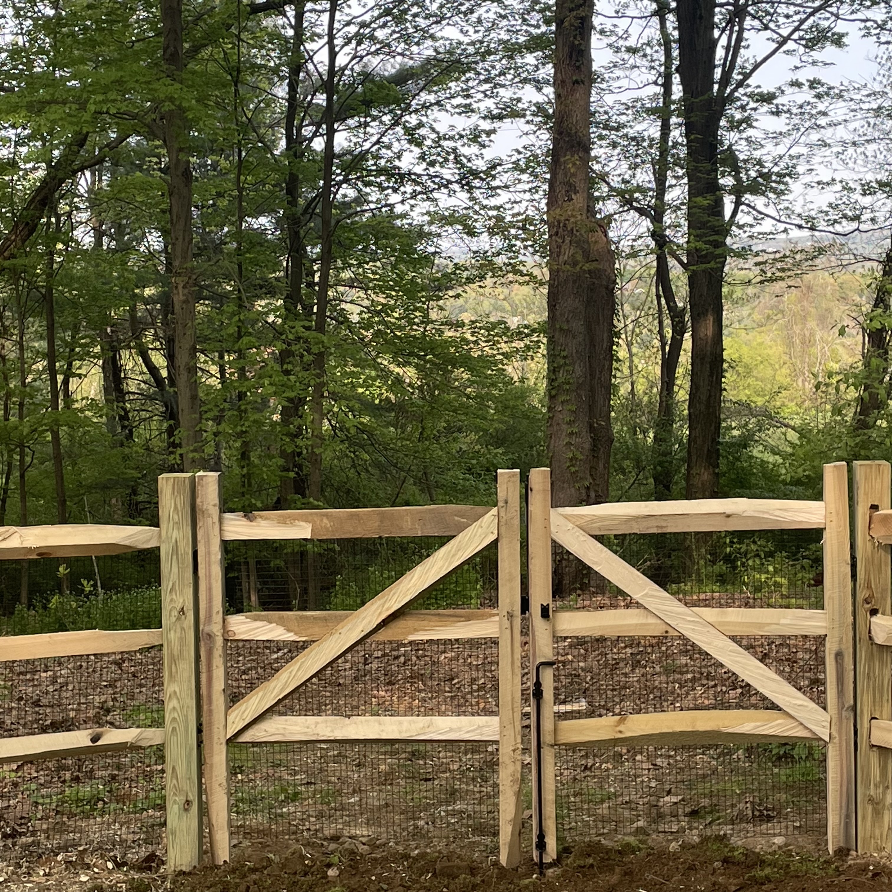 Wooden gate with wire mesh in a wooded setting