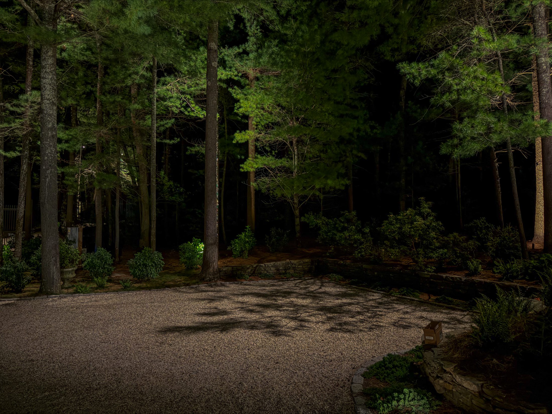 Gravel court under tall pines, with light falling through the branches like moonlight