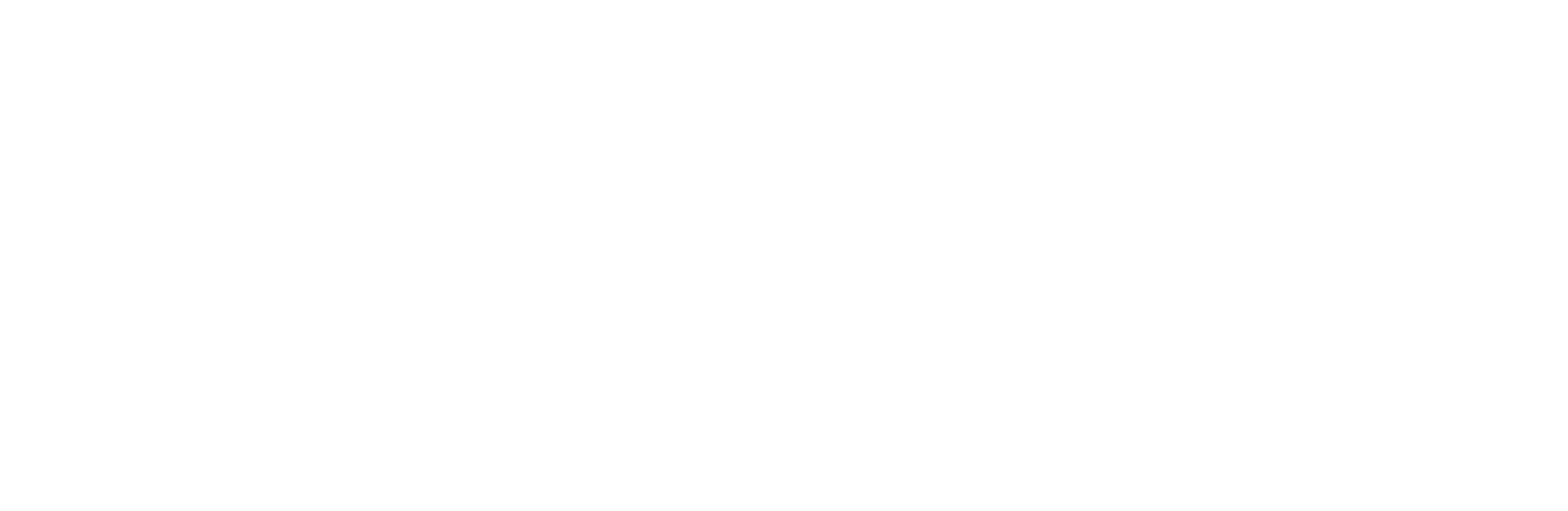 Healthcare Express Logo