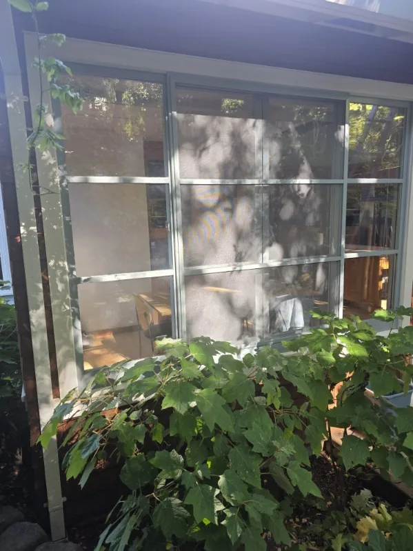Window Cleaning — Hugo's Services