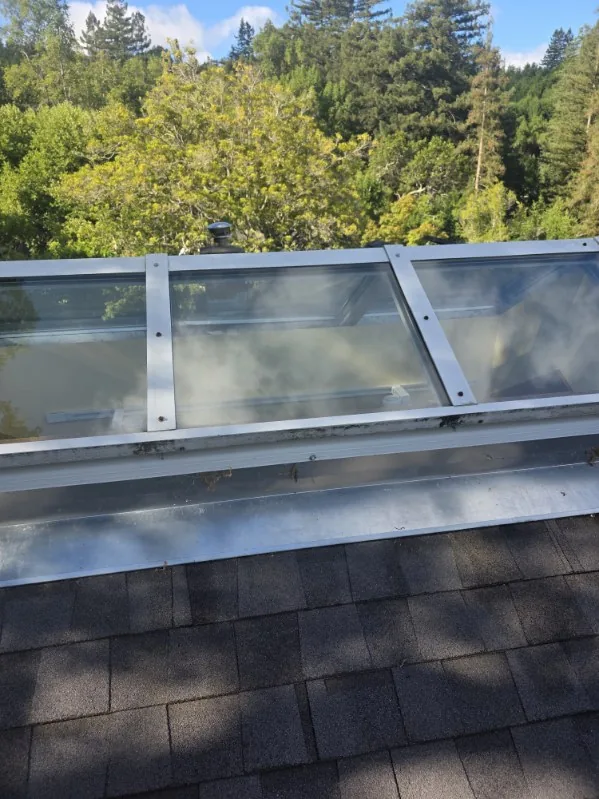Hugo's Services — Roof glazing with glass panels