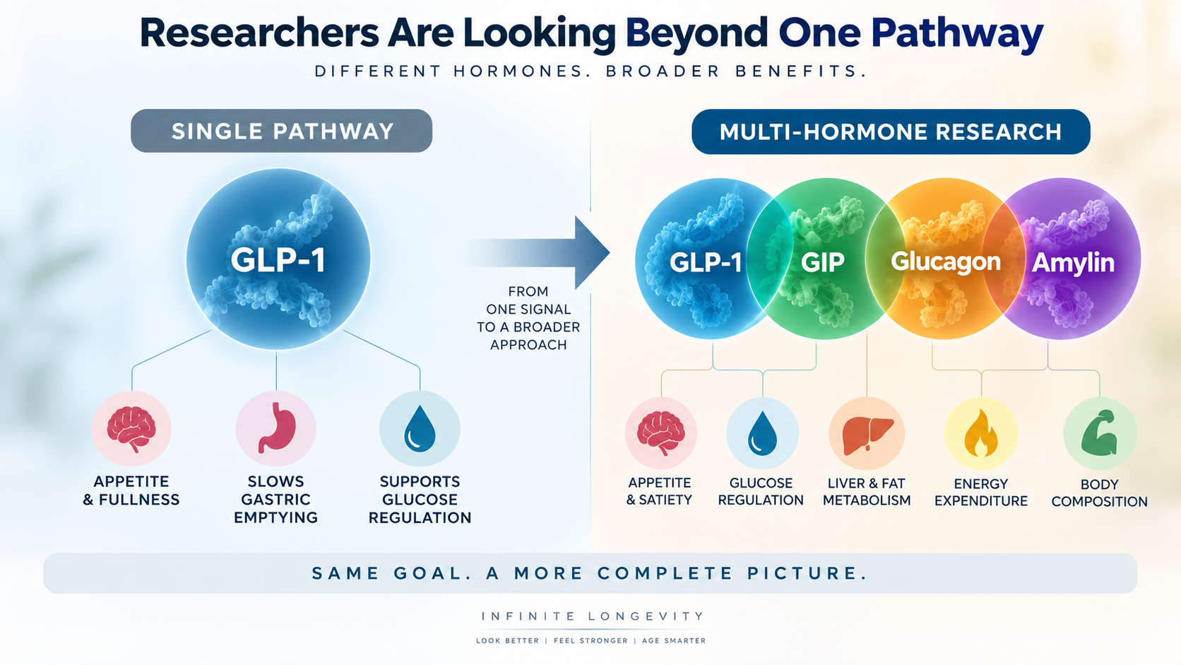 Comparison of single GLP-1 signaling with newer research approaches combining GLP-1 with GIP, glucagon, or amylin pathways.