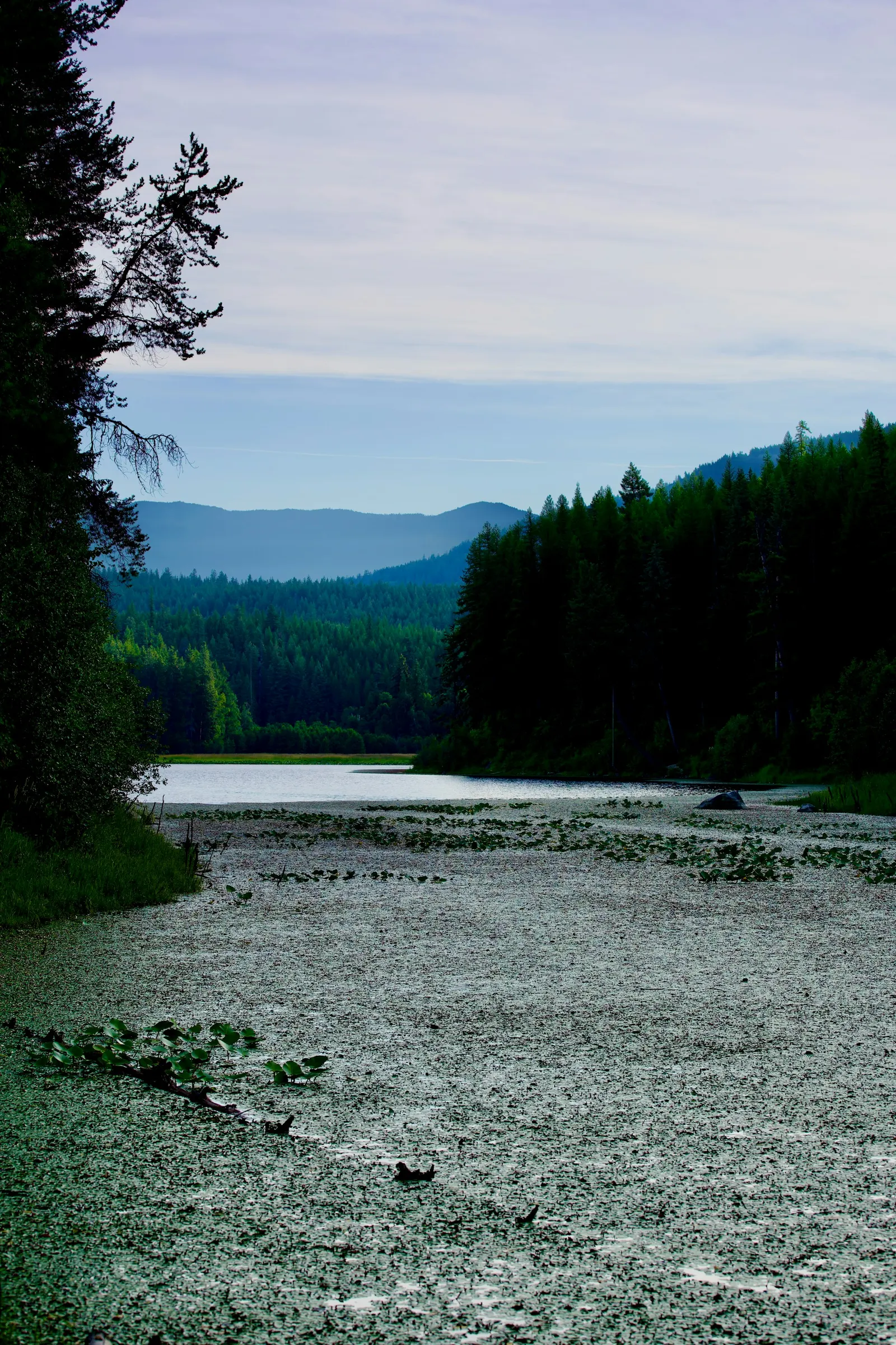 A quiet mountain lake in North Idaho