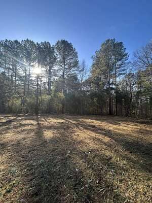 {{ custom_values.service_1 }} in {{custom_values.area_2})