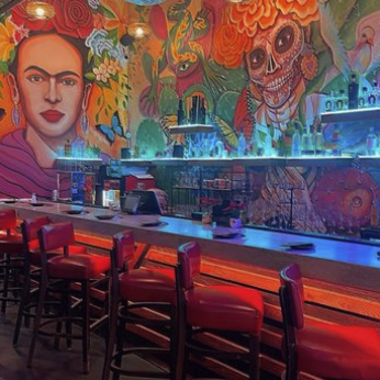 Palapas branded interior