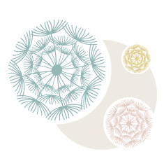 Pusteblumen
