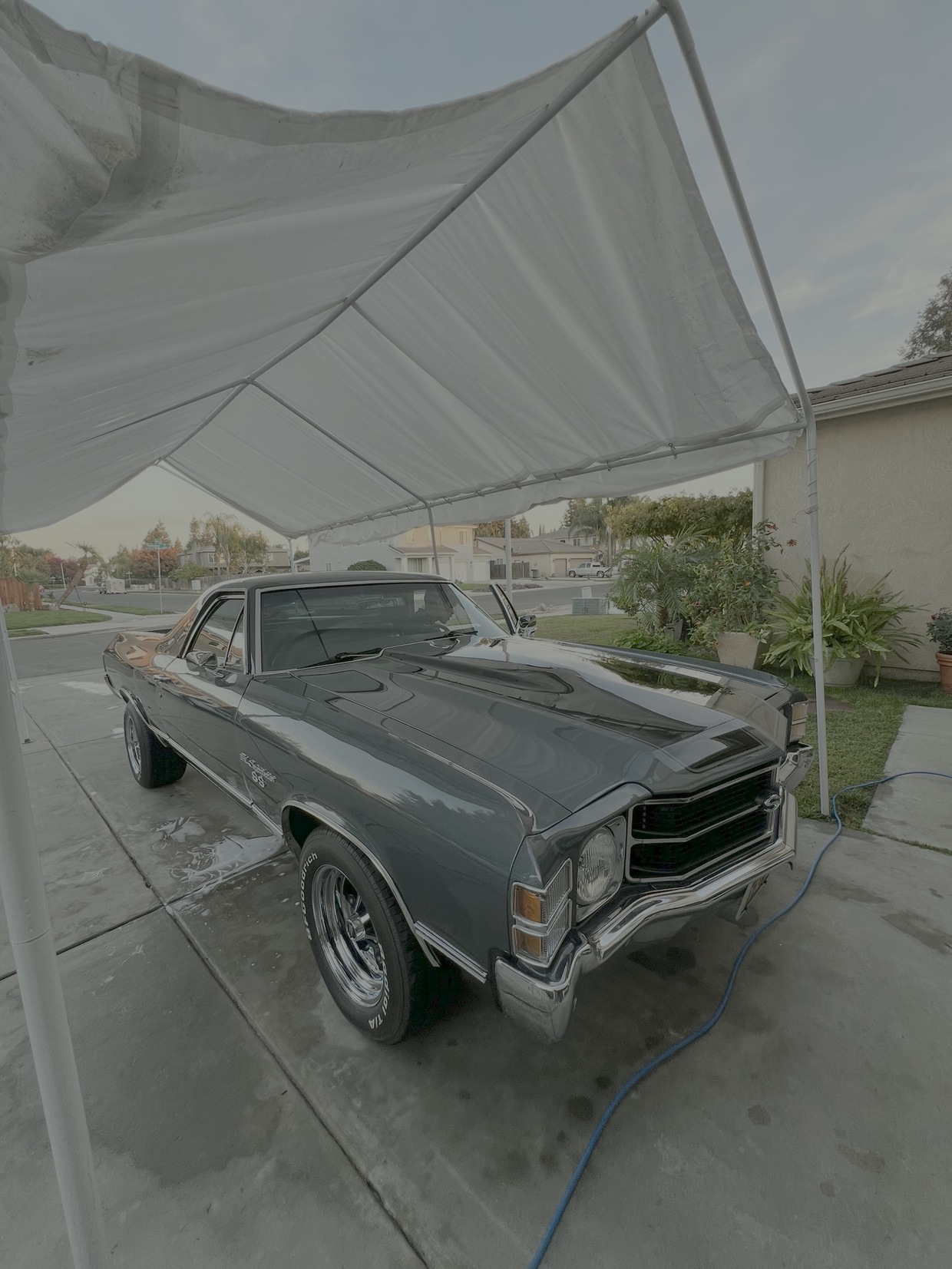 Paint protection service for high-end vehicle in Visalia CA