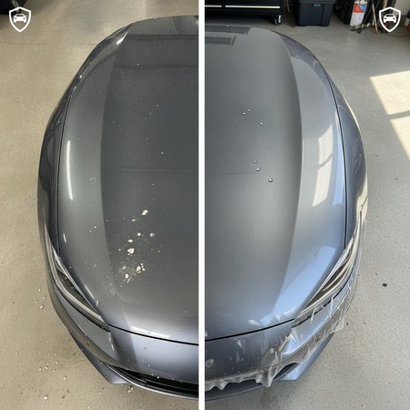 Paint protection film applied to vehicle hood panel